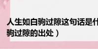 人生如白駒過隙這句話是什么意思(人生如白駒過隙的出處)