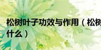 松樹葉子功效與作用(松樹葉子功效與作用是什么)