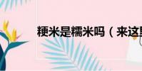 粳米是糯米嗎(來這里看正解)