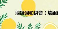 墻組詞和拼音(墻組詞有哪些)