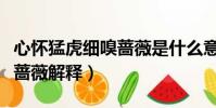 心懷猛虎細嗅薔薇是什么意思(心懷猛虎細嗅薔薇解釋)