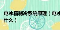 電冰箱制冷系統原理(電冰箱制冷系統原理是什么)