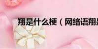 翔是什么梗(網絡語翔是什么意思)