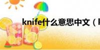 knife什么意思中文(knife解釋)