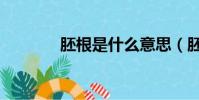 胚根是什么意思(胚根解釋)