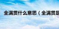 全滿貫什么意思(全滿貫是代表什么含義)