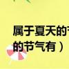屬于夏天的節氣有哪些（24節氣中屬于夏季的節氣有）
