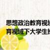 思想政治教育視域下大學生挫折教育研究（關于思想政治教育視域下大學生挫折教育研究介紹）