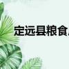 定遠縣糧食局（關于定遠縣糧食局介紹）