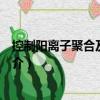 控制陽離子聚合及其應用（關于控制陽離子聚合及其應用簡介）