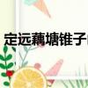 定遠藕塘錐子山（關于定遠藕塘錐子山介紹）