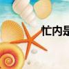 忙內是什么（是怎么解釋的）