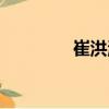 崔洪濤（關于崔洪濤簡介）