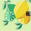 崔涯（關于崔涯簡介）