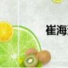 崔海清（關于崔海清簡介）