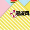黑旋風是誰（黑旋風李逵簡介）