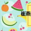 崔燕振（關于崔燕振簡介）