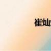 崔燦燦（關于崔燦燦簡介）