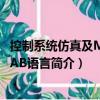 控制系統仿真及MATLAB語言（關于控制系統仿真及MATLAB語言簡介）