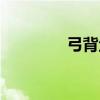 弓背魚（關于弓背魚介紹）