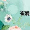 崔愛國（關于崔愛國簡介）