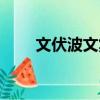 文伏波文集（關于文伏波文集簡介）