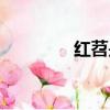 紅苕是什么（紅苕的簡介）