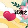 弒魂之刃（關于弒魂之刃介紹）