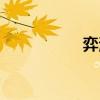 弈海（關于弈海介紹）