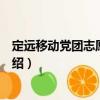定遠移動黨團志愿服務隊（關于定遠移動黨團志愿服務隊介紹）