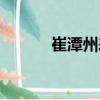 崔潭州表（關于崔潭州表簡介）