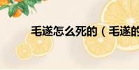 毛遂怎么死的(毛遂的死因介紹)