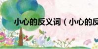 小心的反義詞(小心的反義詞及釋義)