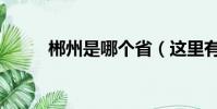 郴州是哪個省(這里有什么特點)