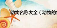 動物名稱大全(動物的名稱有哪些)