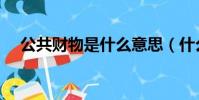 公共財物是什么意思(什么是公共財產)