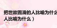 把世故圓滑的人比喻為什么(請問世故圓滑的人比喻為什么)