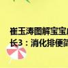 崔玉濤圖解寶寶成長3：消化排便（關于崔玉濤圖解寶寶成長3：消化排便簡介）