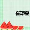 崔璆墓志（關于崔璆墓志簡介）
