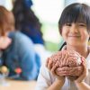 中學生入學得到手機腦力直接停滯在小學