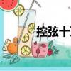控弦十萬（關于控弦十萬簡介）