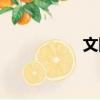 文剛（關于文剛簡介）