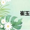 崔玉鑫（關于崔玉鑫簡介）