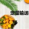 定量輸送機（關于定量輸送機介紹）