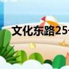 文化東路25號（關于文化東路25號簡介）