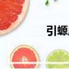 引螈屬（關于引螈屬介紹）