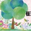 崔玥（關于崔玥簡介）