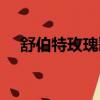 舒伯特玫瑰歌詞（舒伯特玫瑰歌曲簡介）