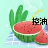 控油壺（關于控油壺簡介）