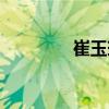 崔玉琳（關于崔玉琳簡介）